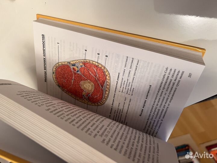 Новые книги и атласы по анатомии человека