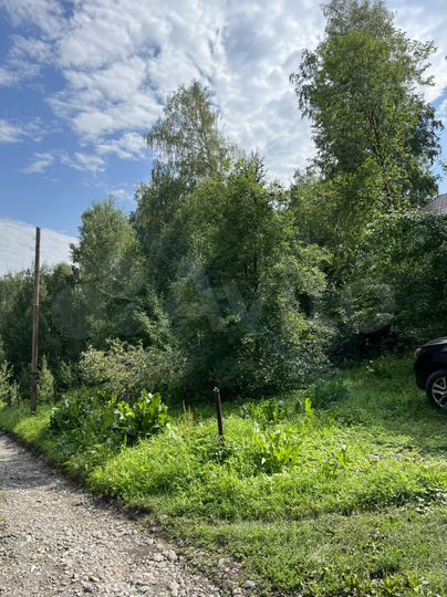 Участок 26,6 сот. (СНТ, ДНП)