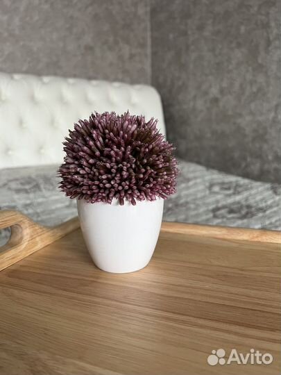 Искусственный кактус