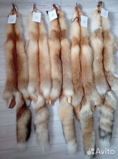 Шкуры лисы