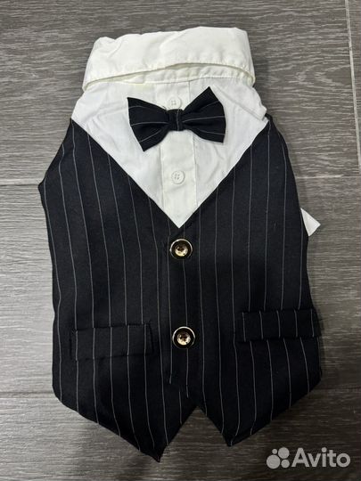 Костюм спокинг для собаки