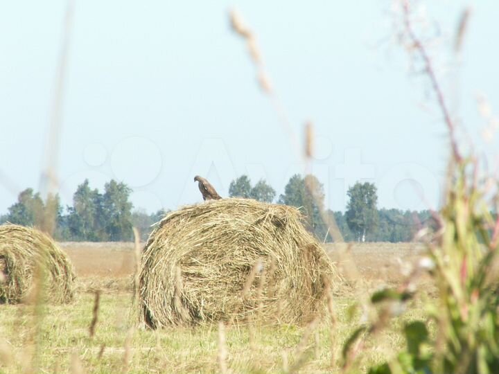 Участок 20 га (СНТ, ДНП)