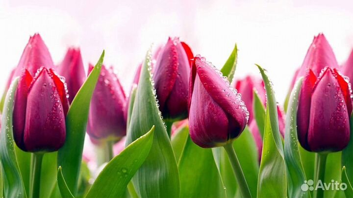 Кухонный фартук пвх 3000х600