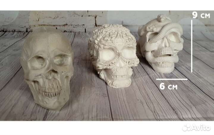 Черепа из гипса