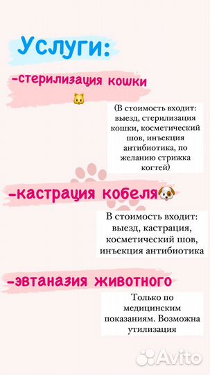 Стерилизация кошек, кастрация кобелей с выездом