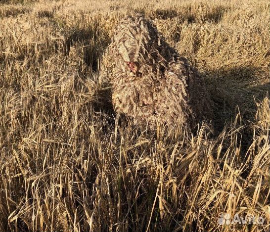 Маскхалат леший отдых охота