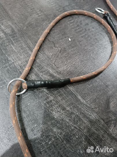 Ошейник удавка для собак