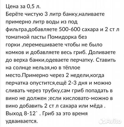 Винный гриб