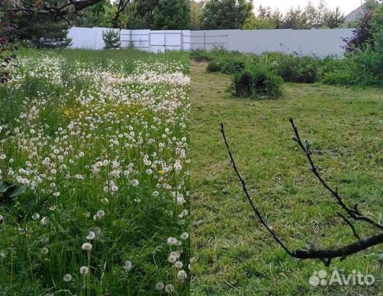 Сад благоустройство