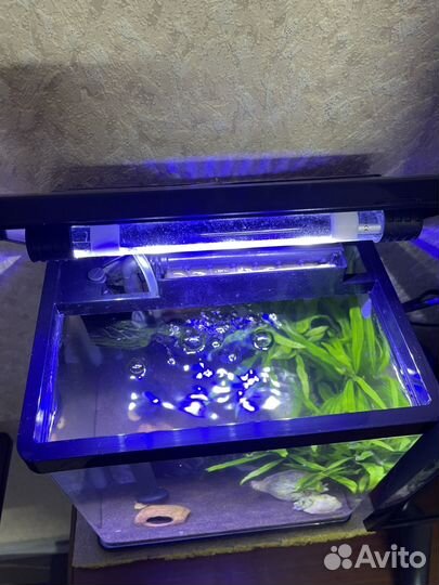 Аквариум