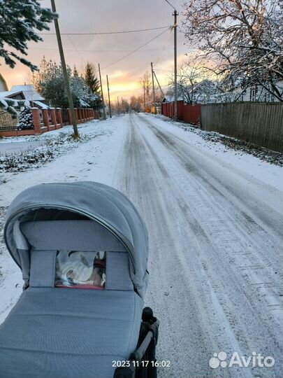 Коляска 2 в 1 pituso luna