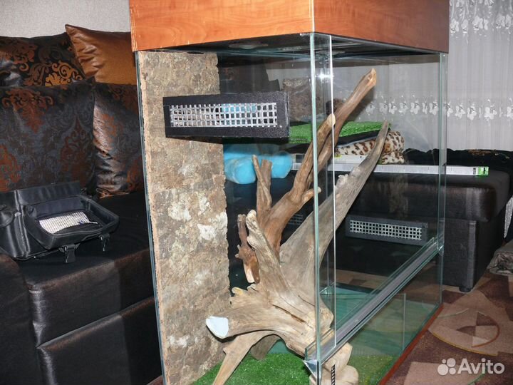 Террариум для рептилий
