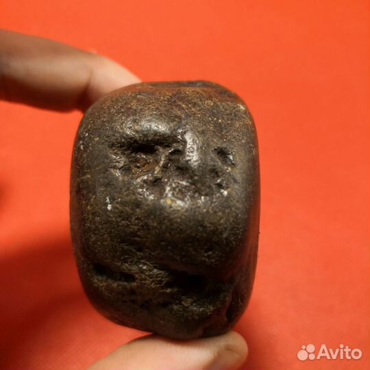 Окаменелость. Кости кита Цетотерия