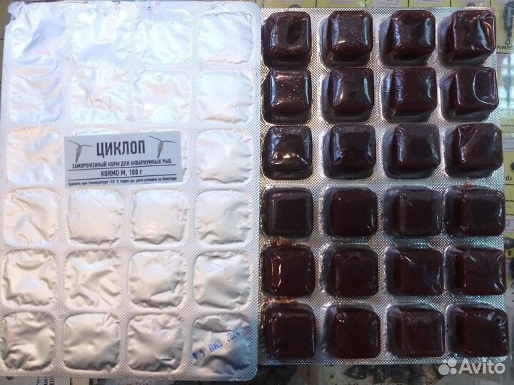 Мотыль, артемия, циклоп, дафния, коретра