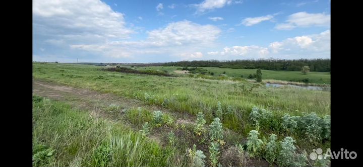 Женская верхняя одежда 52 54