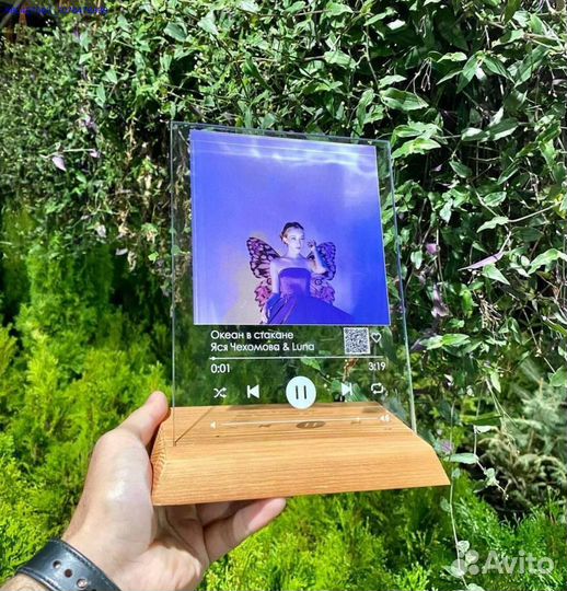 Трек пластинка на стекле (Арт.46829)