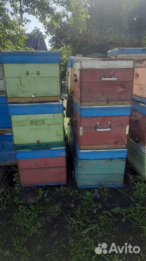 Продам ульи