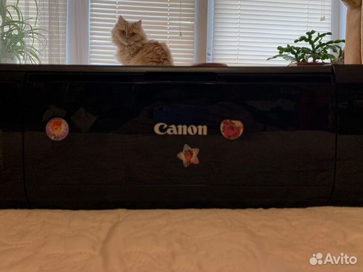 Принтер Canon MP280