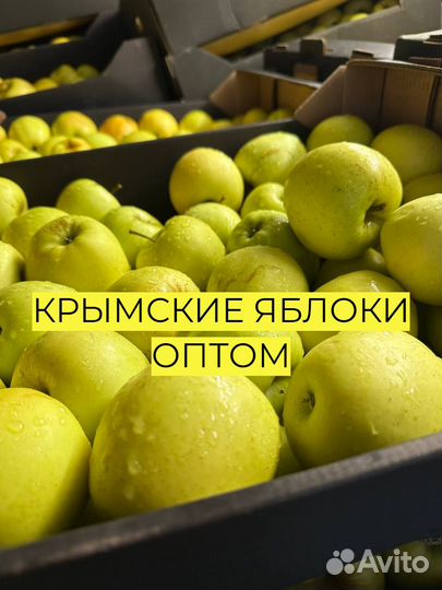 Крымские яблоки оптом