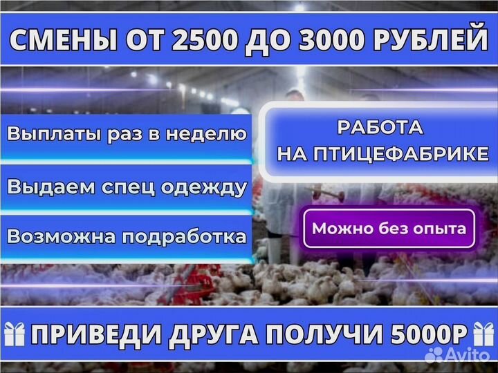 Упаковщик на птицефабрику