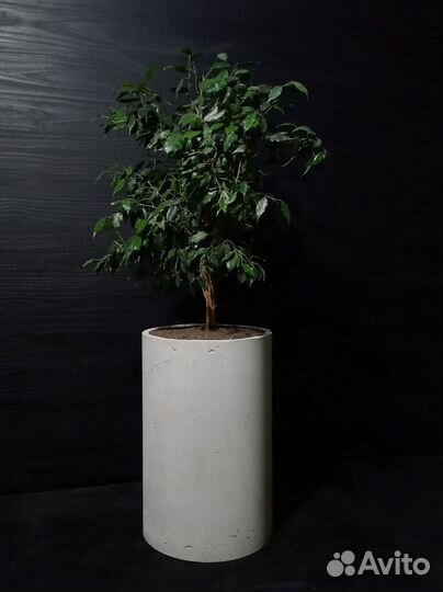 Вазоны, Горшки, Кашпо под заказ из бетона