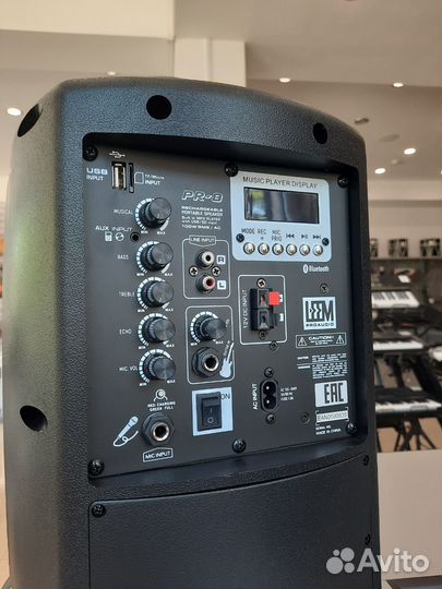 Акустическая система Leem PR-8, с микрофоном