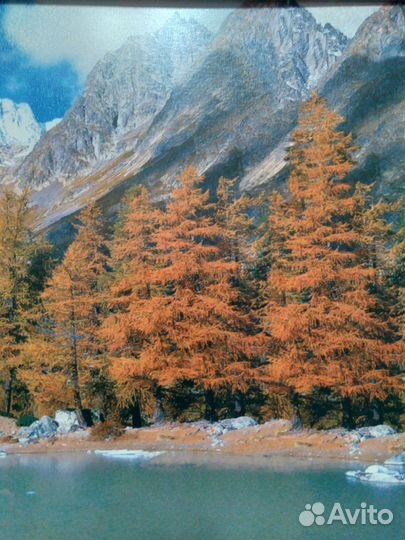 Картина осенний пейзаж