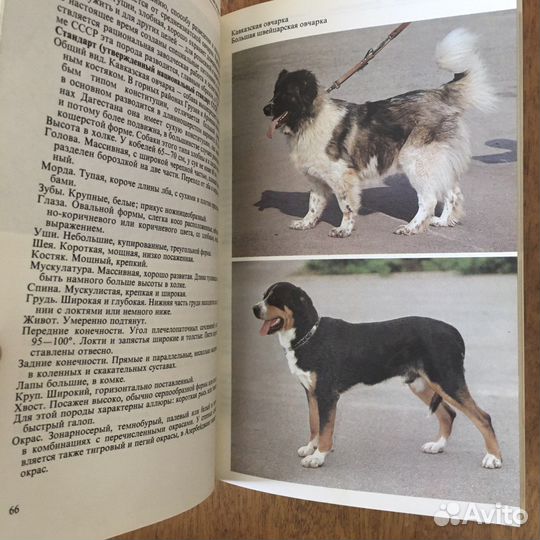 Книги Атласы пород собак и кошек