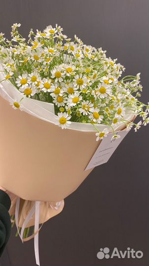 Букет из ромашек подарок на 8 марта