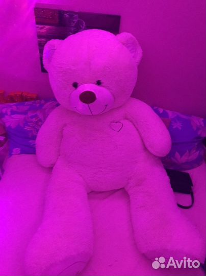 Большие плюшевые медведи