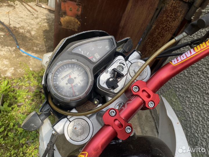 Эндурик bars 250