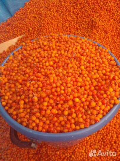 Облепиха замороженная