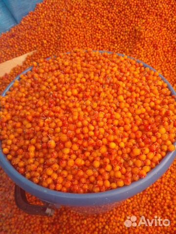 Облепиха замороженная