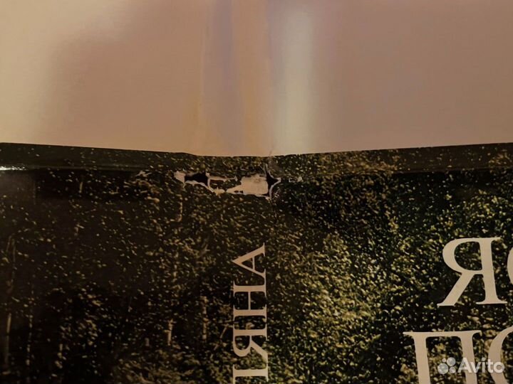 Ясная Поляна 