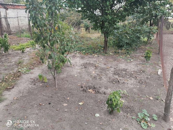 Дом 54 м² на участке 50 сот.