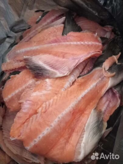 Хребты, обрезь Кеты