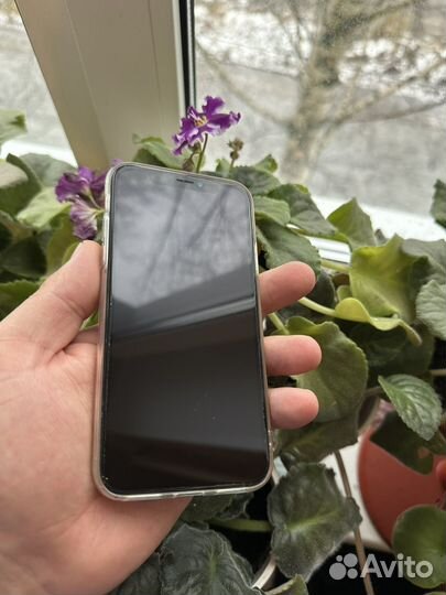 iPhone X, 256 ГБ