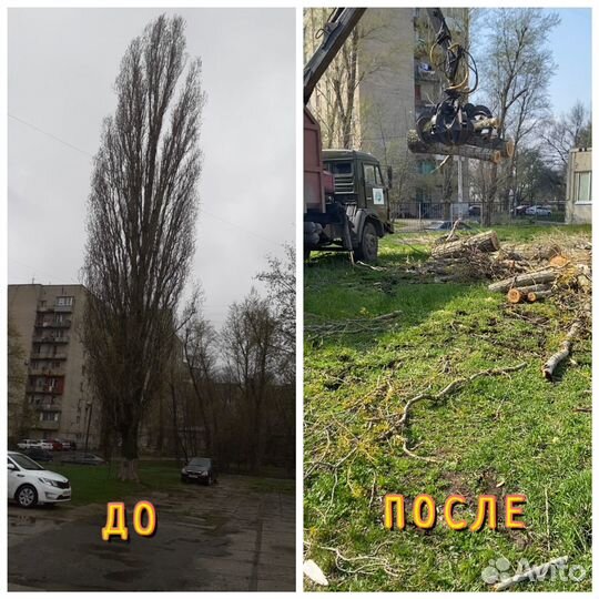 Спил деревьев/ Обрезка деревьев/ Удаление/ Валка