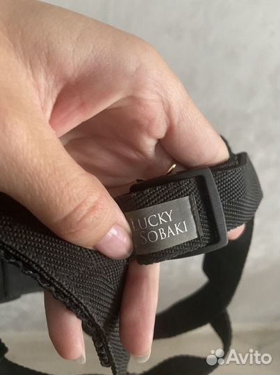 Недоуздок для собак/халти
