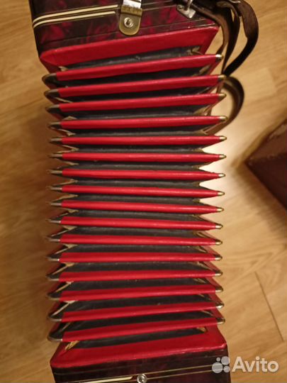 Аккордеон Royal Standart Bellona