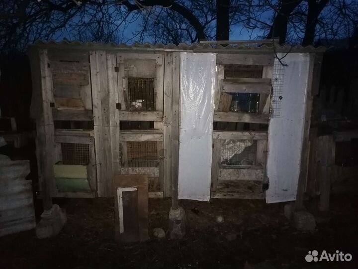 Клетка для грызунов бу