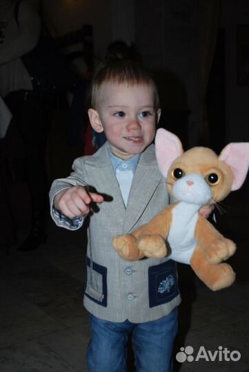 Choupette пиджак, рубашка, бриджи 86 см