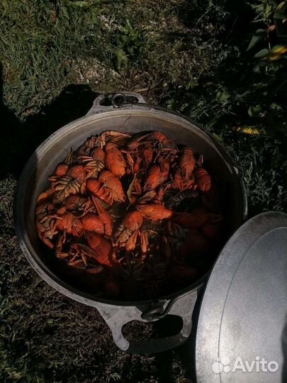 Раки вареные