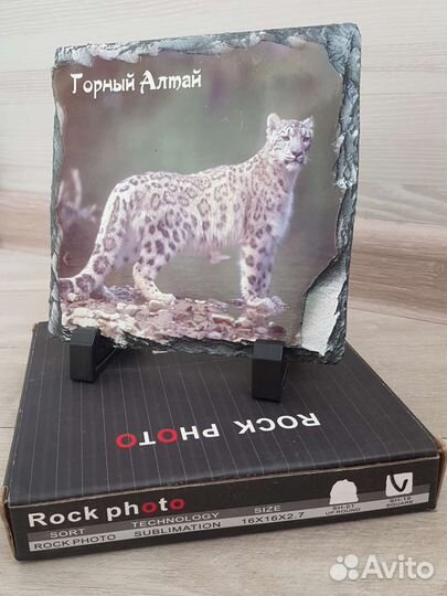 Фото на камне, снежный барс, сувенир