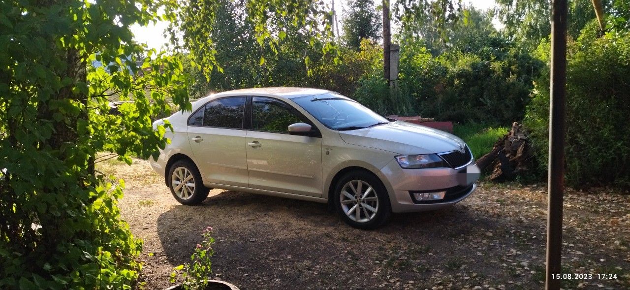 Skoda Rapid: фото владельца