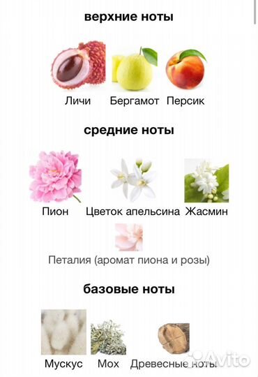 Fleur Narcotique Ex Nihilo