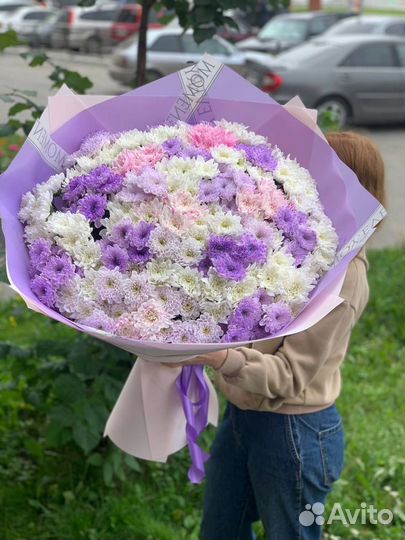 Хризантема