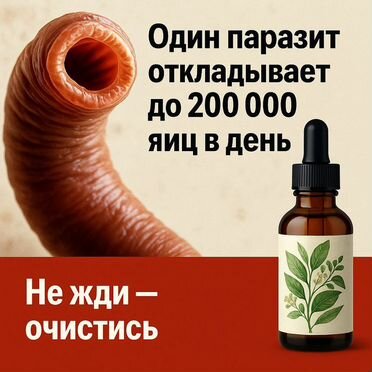Эликсир на травах — природное средство от паразитов