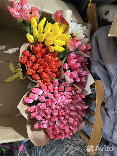 Луковицы тюльпанов