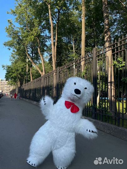 Белый Мишка поздравление